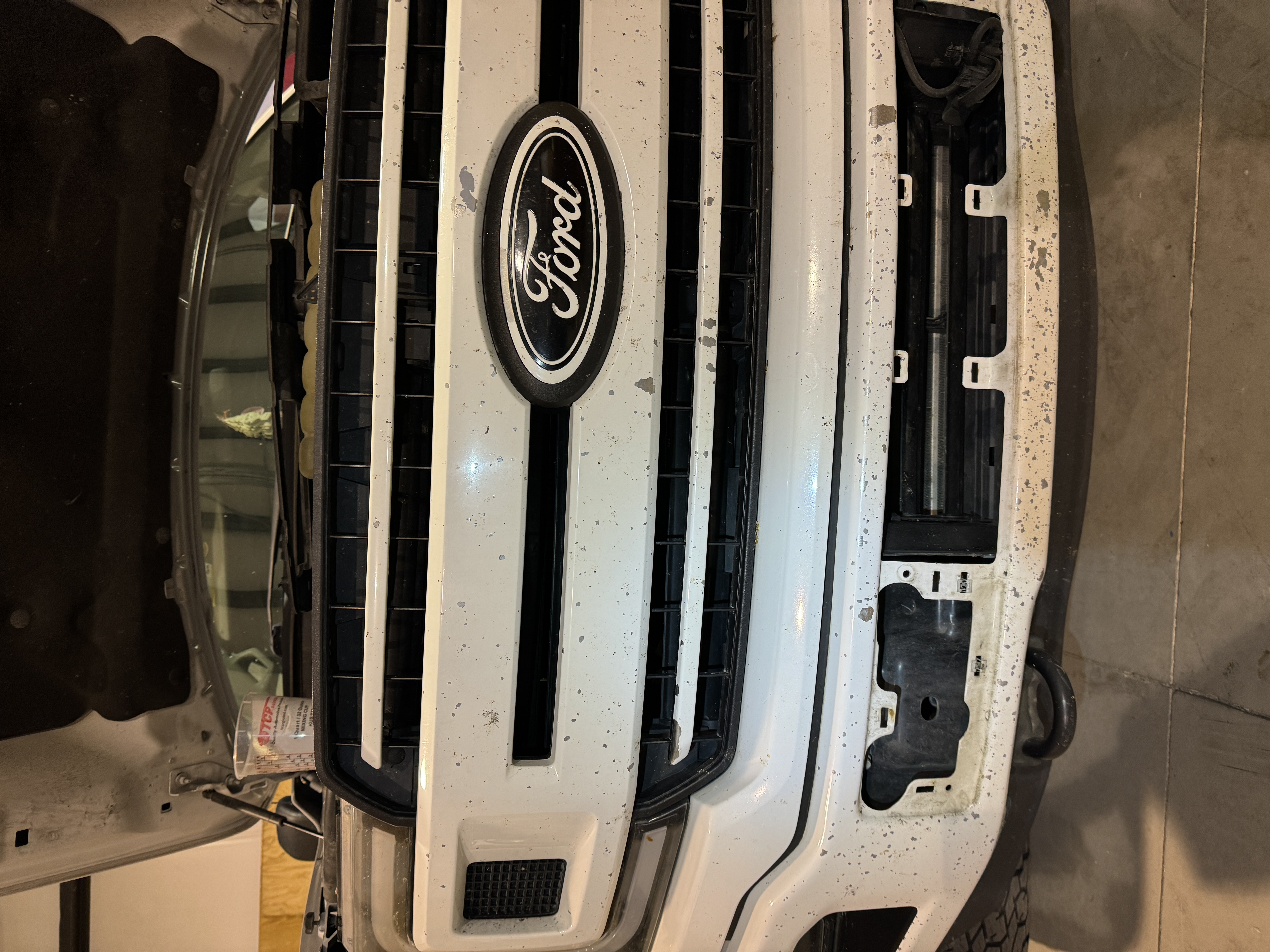 Oxidized or damaged paint before correction